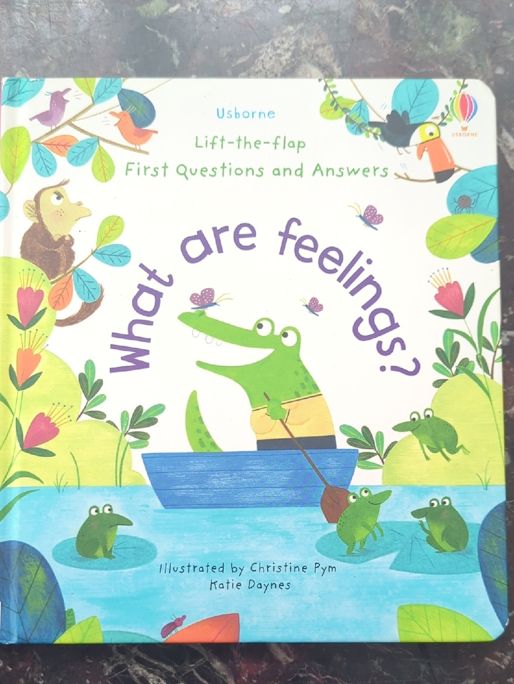 Usborne What Are Feelings? Lift-the-Flap Kids Book - Green
